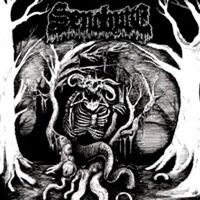 Senobyte - Senobyte vinyl cover