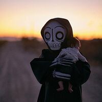 Senses Fail - If There Is Light, It Will Find You vinyl cover