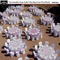 Sensible Gray Cells - Get Back Into The World vinyl cover