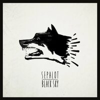 Sepalot - Black Sky vinyl cover