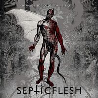 Septicflesh - The Ophidian Wheel vinyl cover