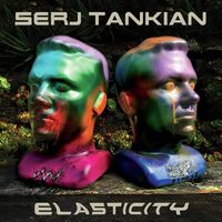 Serj Tankian - Elasticity vinyl cover