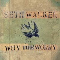 Seth Walker - Why The Worry vinyl cover