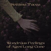 Settima Tacca - Wondrous Feelings Of Ages Long Gone vinyl cover