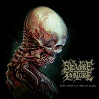 Severe Torture - Torn from the Jaws of Death vinyl cover