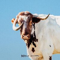 Sexy Zebras - Bravo vinyl cover