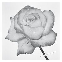 Sg (Andrew Pekler) - For Lovers Only/Rain Suite vinyl cover