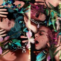 Sha Ru - They Are Textural vinyl cover