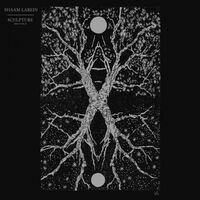 Shaam Larein - Sculpture vinyl cover