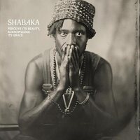 Shabaka - Perceive Its Beauty, Acknowledge Its Grace vinyl cover