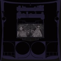 Shabazz Palaces - Exotic Birds of Prey vinyl cover