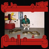Shabazz Palaces - Robed in Rareness vinyl cover