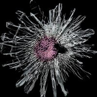 Shadowlands - 004 vinyl cover