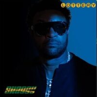 Shaggy - Lottery vinyl cover