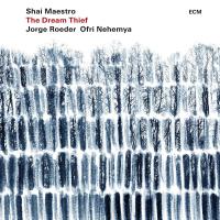 Shai Maestro - The Dream Thief vinyl cover