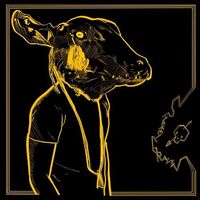 Shakey Graves - Roll The Bones X vinyl cover
