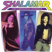 Shalamar - Circumstantial Evidence vinyl cover