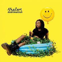 Shalom - Sublimation vinyl cover