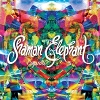 Shaman Elephant - Crystals vinyl cover