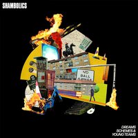 Shambolics - Dreams Schemes & Young Teams vinyl cover