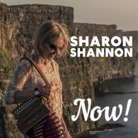 Sharon Shannon - Now vinyl cover