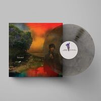 Sharon Van Etten - We've Been Going About This All Wrong vinyl cover