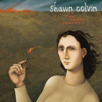 Shawn Colvin - A Few Small Repairs vinyl cover