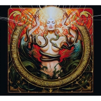 Shawn James & The Shapeshifters - The Gospel According To Shawn James vinyl cover