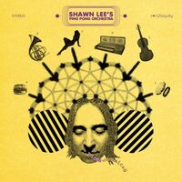 Shawn Lee - Kiss The Sky vinyl cover