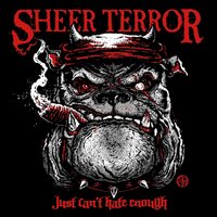 Sheer Terror - Just Can't Hate Enough vinyl cover