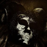 Sheidim - Shrines Of The Void vinyl cover