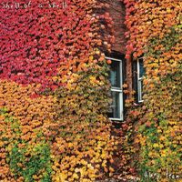 Shell Of A Shell - Away Team vinyl cover