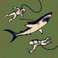Shepparton Airplane - Sharks vinyl cover