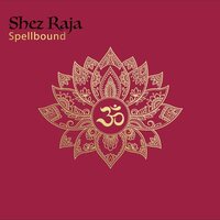 Shez Raja - Spellbound vinyl cover