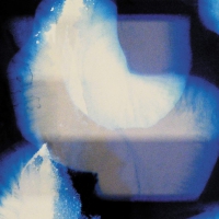 Shida Shahabi - Homes vinyl cover