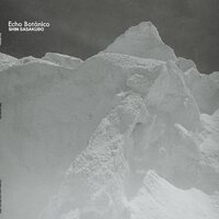 Shin Sasakubo - Echo Botanico vinyl cover