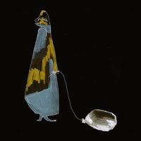 Shingo Suwa - Seishin vinyl cover