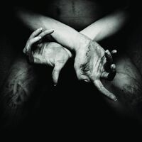 Shining - X - Varg Utan Flock Ltd. Ed. vinyl cover