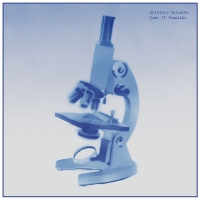 Shintaro Sakamoto - Love If Possible vinyl cover