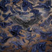 Ship Thieves - Irruption vinyl cover