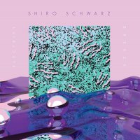 Shiro Schwarz - Electrify B/W Breeze vinyl cover