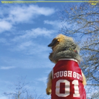 Shit And Shine - Some People Really Know How To Live vinyl cover