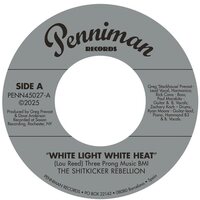 Shitkicker Rebellion - White Light White Heat/99th Floor vinyl cover