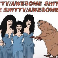 Shitty/Awesome - Shitty/Awesome vinyl cover