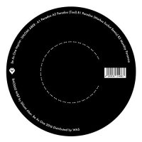 Shlomi Aber - Paradox vinyl cover