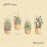 Shook Ones - Body Feel vinyl cover