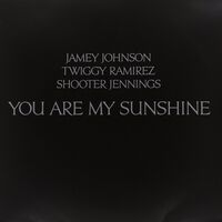 Shooter Jennings Jamey Johnso - You Are My Sunshine vinyl cover