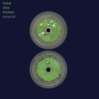 Should - Feed Like Fishes (Green) vinyl cover