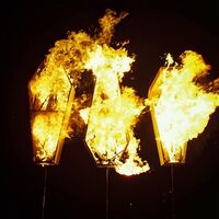 Show Me The Body - Trouble The Water vinyl cover