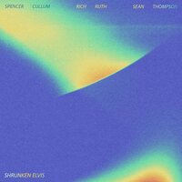 Shrunken Elvis - Shrunken Elvis vinyl cover